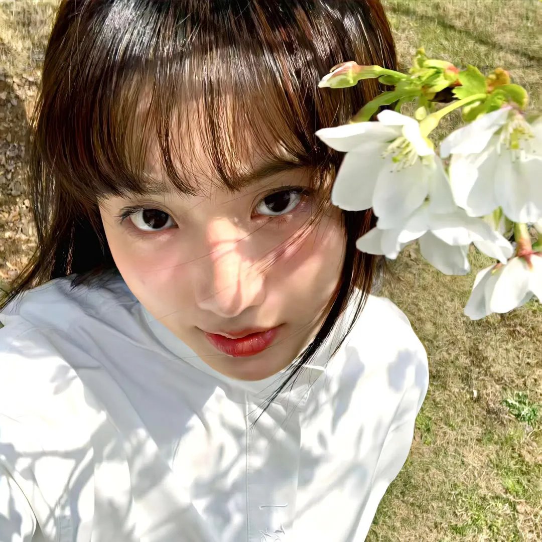 最后的德鲁伊:加尔姆战争